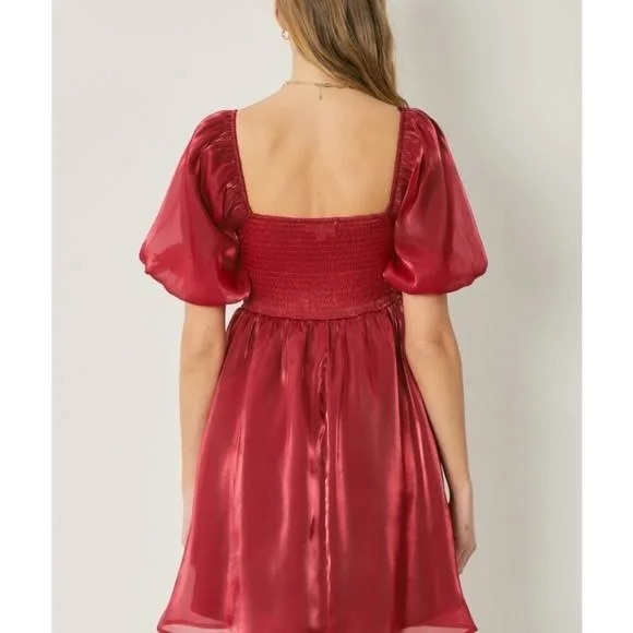 Fall Formal or Holiday dress - Picture 4 of 4